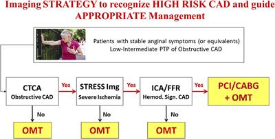 Coronary Revascularization in Patients With Stable Coronary Artery Disease: The Role of Imaging